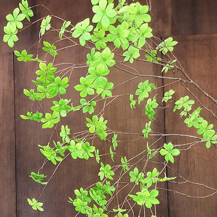 vi設計公司有哪些