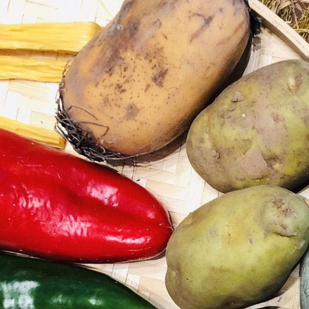 工程設(shè)計專業(yè)學什么-工程vi設(shè)計專業(yè)學什么