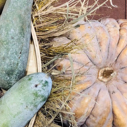 城關區vi設計公司收費高不高