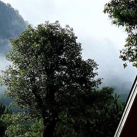 上海松江導(dǎo)向vi設(shè)計(jì)公司在哪里